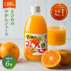 ふるさと納税 今治市 えひめのみかんジュース(6本入り) 【V002080】