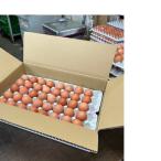 江別産 ココットレッド80個入