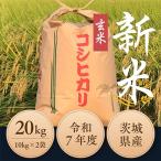 ふるさと納税 ひたちなか市 令和7年度 ひたちなか市産コシヒカリ玄米20kg(10kg×2袋)