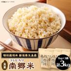 ふるさと納税 五泉市 