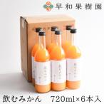 ふるさと納税 有田市 【早和果樹園】飲むみかん(大瓶)6本入|有田みかん100%ストレートジュース