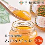 濃厚みかんジュレ×20個入