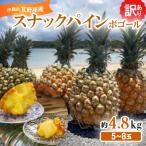 ふるさと納税 宜野座村 【2026年発送・訳あり】スナックパイン(ボゴール)5〜8玉(約4.8kg)