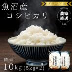 ブランド米 魚沼産コシヒカリ10kg 5kg×2袋