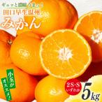 みかん 5kg