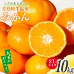 みかん 10kg
