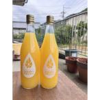 産甘夏みかん100%ジュース 2本セット