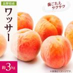 フルーツ王国 信州直送 ワッサー 約3kg