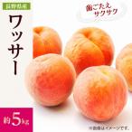 フルーツ王国 信州直送 ワッサー 約5kg