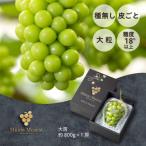 ショッピングふるさと納税 シャインマスカット ふるさと納税 岡山市 【2026年分】ブランドシャインマスカット『MiiinoMuscat』1房(800g以上)
