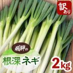 fu.... налог .. город &lt; есть перевод &gt;... корень глубокий лук-батун 2kg