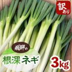 fu.... налог .. город &lt; есть перевод &gt;... корень глубокий лук-батун 3kg