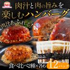 ふるさと納税 常総市 肉汁あふれるハンバーグ2種12個セット(デミ&和風)計1.92kg|使い切り日本ハム