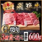 ふるさと納税 羽島市 飛騨牛　焼肉厳選3種食べ比べセット(カルビ・トモサンカク・モモ)　約600g