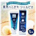 薬用ハミガキ シェルピカ 80g×5本