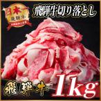 飛騨牛 切り落とし 約1kg