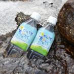 かわうち恵の水 500ml×24本
