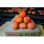 西吉野の富有柿 約7.5kg