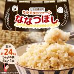 たかすのお米 特別栽培米 ななつぼし 真空パック 20kg