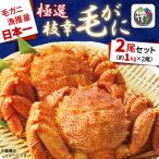 fu.... налог ветка . блок .. количество Япония один ветка . шерсть ..2 хвост комплект ( примерно 1kg×2 хвост ) Hokkaido ветка . блок производство 