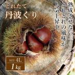 とれたて 丹波くり 4L