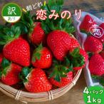 ふるさと納税 雲仙市 訳あり いちご(恋みのり) 計1kg