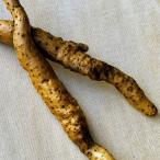 fu.... налог Цу мир . блок [ культивирование период средний, пестициды * химия удобрение не использование ] Японский ямс (300g[1~ 2 шт ])