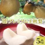 ふるさと納税 智頭町 【先行予約】プレミアム王秋梨 約5kg