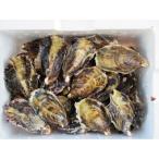 fu.... налог красный . город сырой еда для .....[...]3kg( примерно 30 шт ) устрица нож имеется 