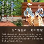 台ケ森温泉 山野川旅館 DogVillage台ケ森