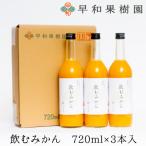 ふるさと納税 有田市 【早和果樹園】飲むみかん(大瓶)3本入|有田みかん100%ストレートジュース