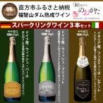 ふるさと納税 直方市 福智山ダム熟成スパークリングワイン3本詰め合わせセット FD323