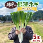 fu.... налог .. город ... корень глубокий лук-батун premium 5шт.@( примерно 1.2kg)