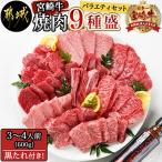 ふるさと納税 都城市 宮崎牛焼肉9種盛りバラエティーセット