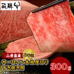 一貫生産農家 山勇畜産の5等級飛騨牛 サーロイン本格厚切り…