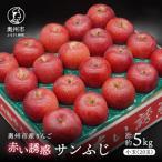 産りんご 赤い誘惑 サンふじ 約5kg