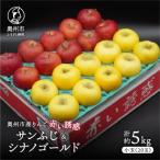 産りんご 赤い誘惑 サンふじ&シナノゴールド 約5kg