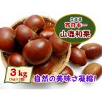 山鹿和栗 3kg