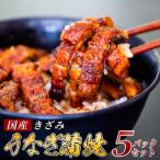 きざみうなぎ蒲焼き50g×5パック 訳あり