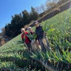 fu.... налог внизу . рисовое поле блок подлинный внизу . рисовое поле блок одобрено .. . участник ..... внизу . рисовое поле .(M размер 20шт.@)