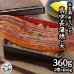 ふるさと納税 湖西市 浜名湖産うなぎ　大・長蒲焼パック 2枚入り