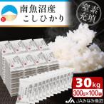 美味しさ長持ち便利な小袋タイプ 南魚沼産こしひかり300g×1…