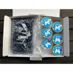 fu.... налог Tsuchiura город культивирование период средний пестициды не использование крупный рефрижератор голубика 1kg. ручная работа джелато (2 вид )6 шт. комплект 