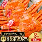 ズワイガニ 姿 茹で松葉かに 600g級×3杯