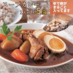 具材 チキンスープカレー 5袋入り