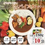 スパイスカレー レトルト 180g×10袋