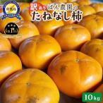 ふるさと納税 佐渡市 【2026年10月以降発送分】訳あり　佐渡島産たねなし柿　10kg(箱の重さ込み)