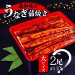 大サイズうなぎ蒲焼き220g 2尾セット