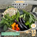 身体が喜ぶ野菜 おまかせ10~12品