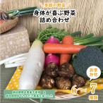 身体が喜ぶ野菜 季節の野菜おまかせ6~7品